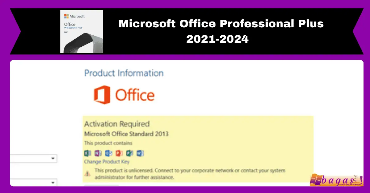Microsoft Office Professional Plus 2021-2024
