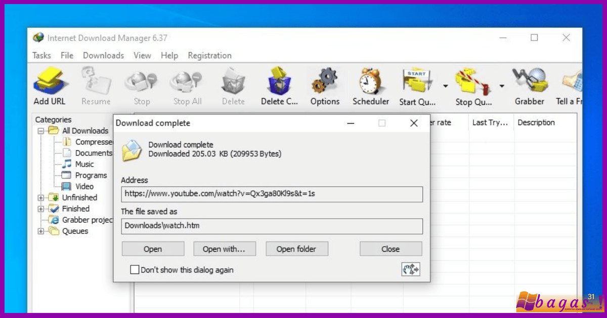 Internet Download Manager