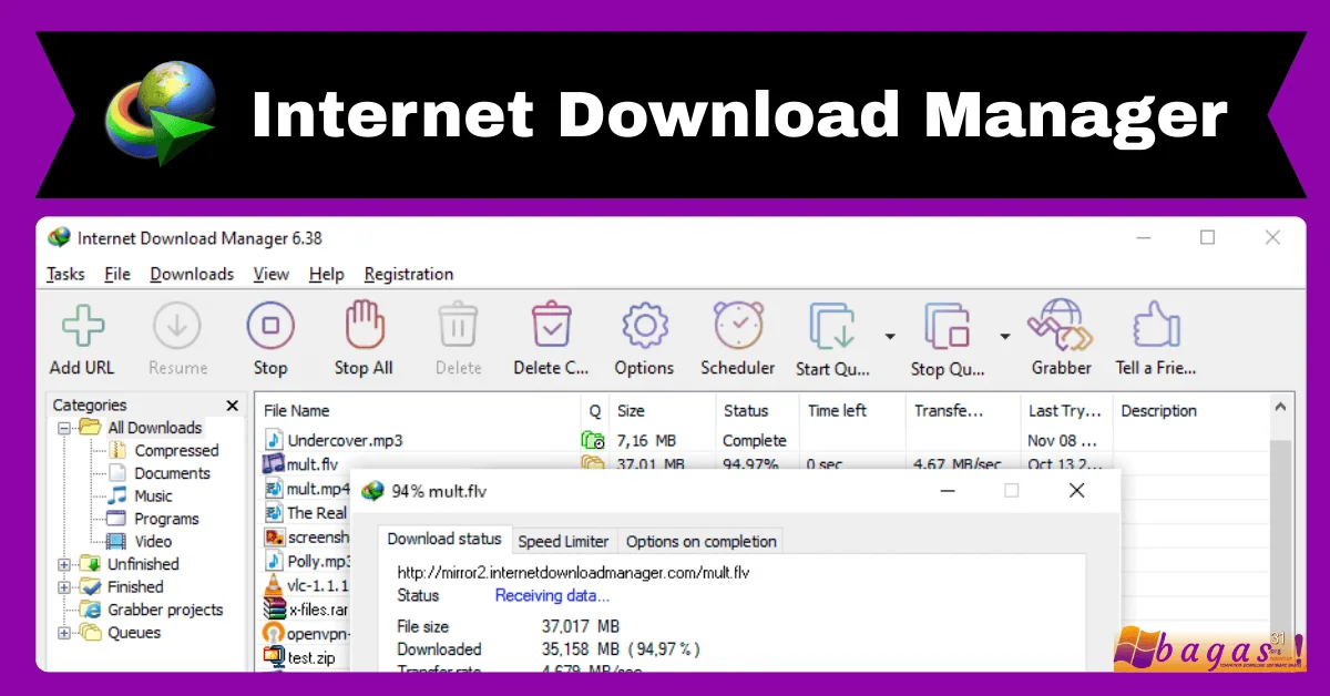Internet Download Manager