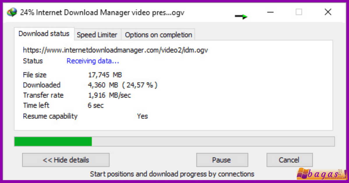 Internet Download Manager