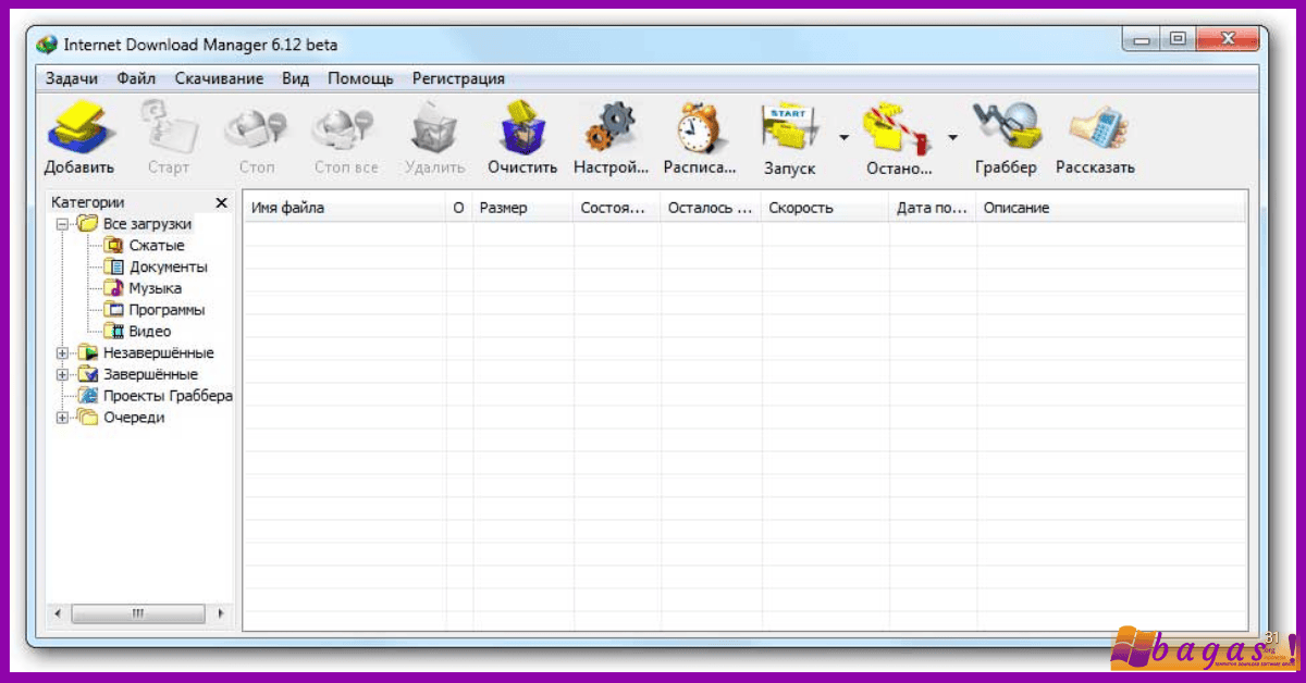Internet Download Manager