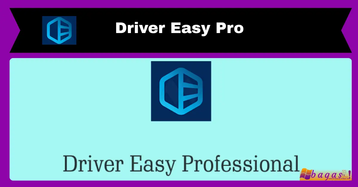 Driver Easy Pro